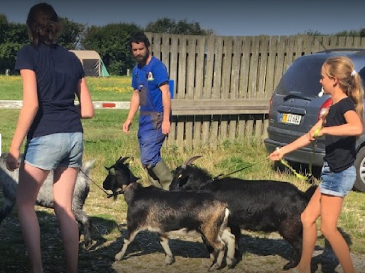 Kinderen en geiten bij Løkken Maritime Naturcamp