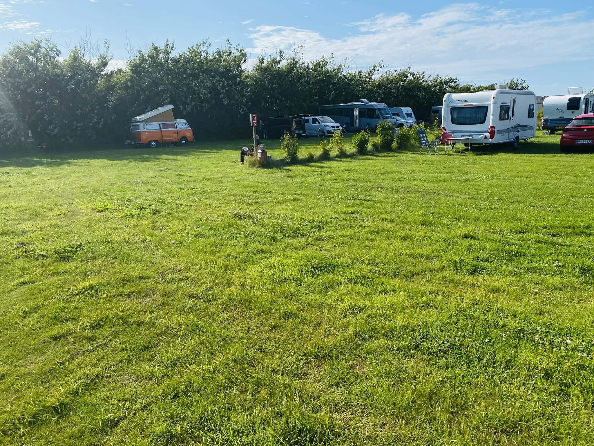 Åben og grøn campingplads med god plads ved Løkken