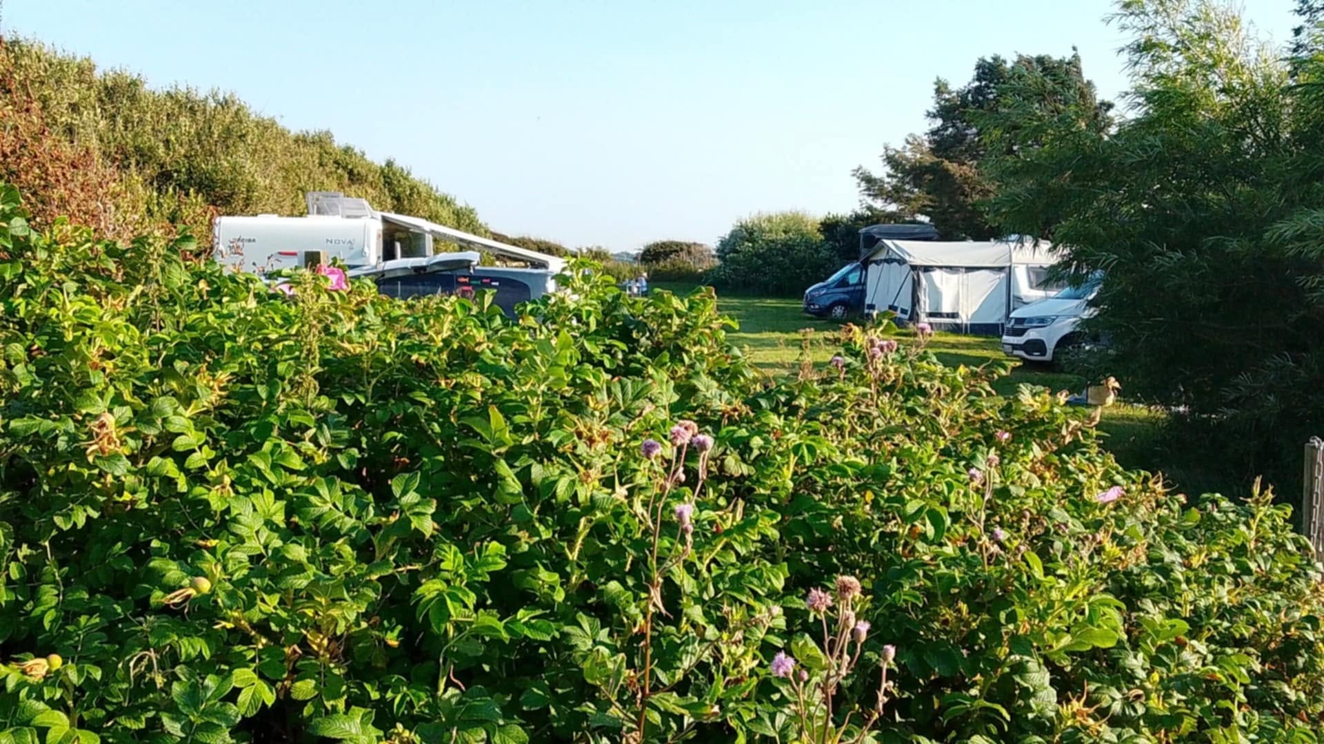 Camping tæt på stranden og Vesterhavet ved Løkken